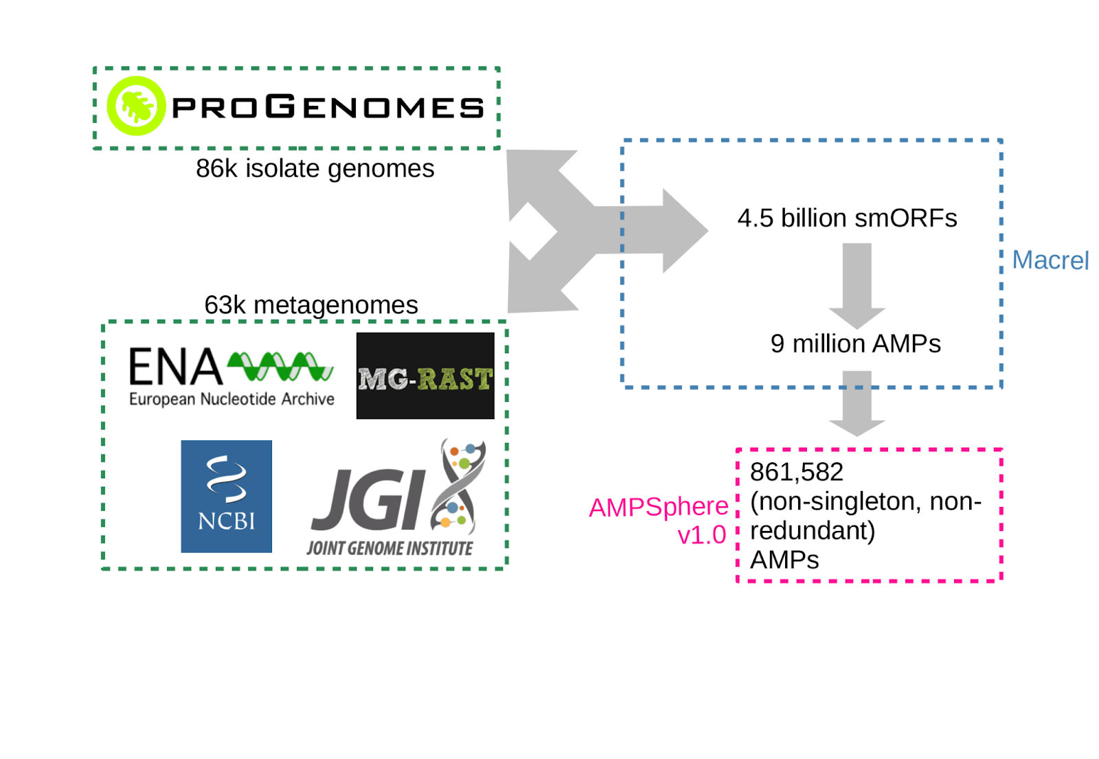AMPSphere fluxogram